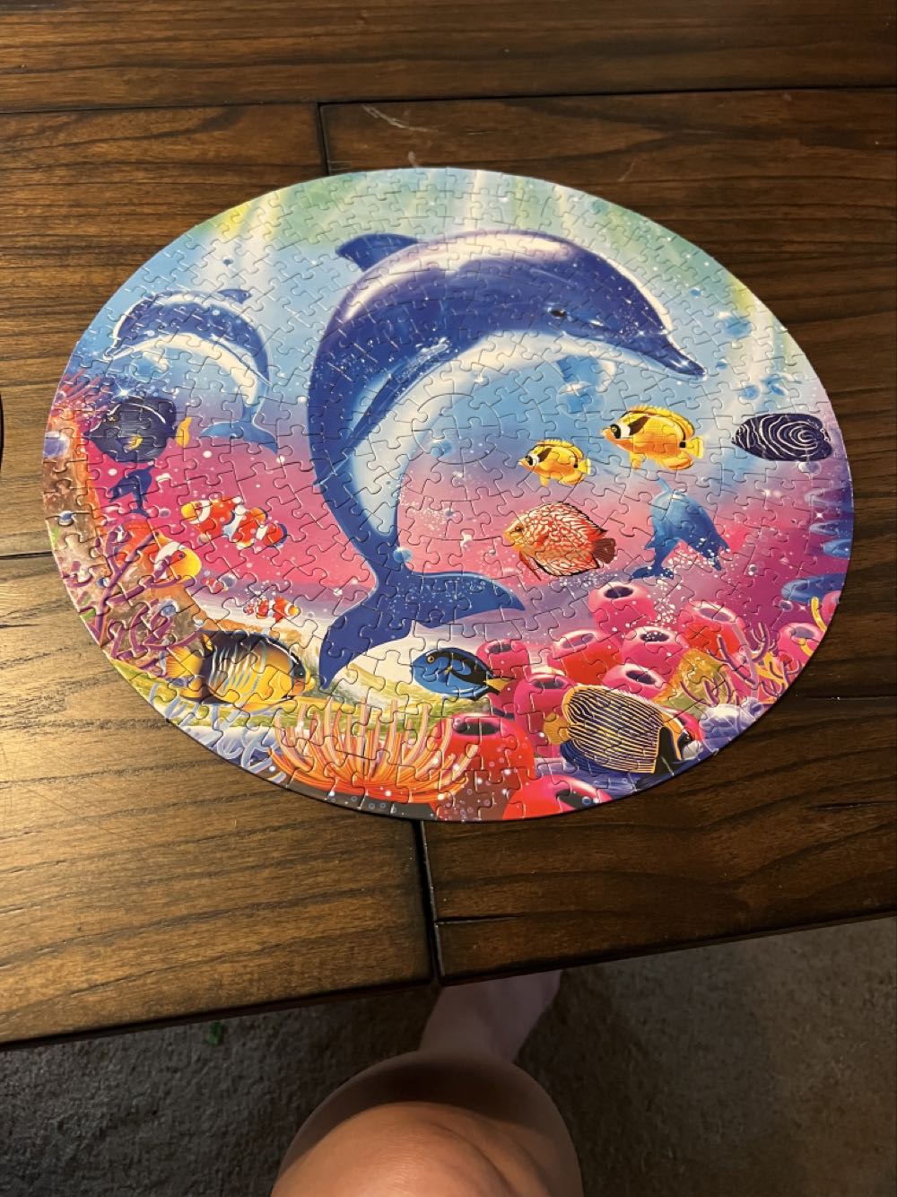 Dolphin Bubble - Puzzlebug / CraZArt puzzle collectible - Main Image 2