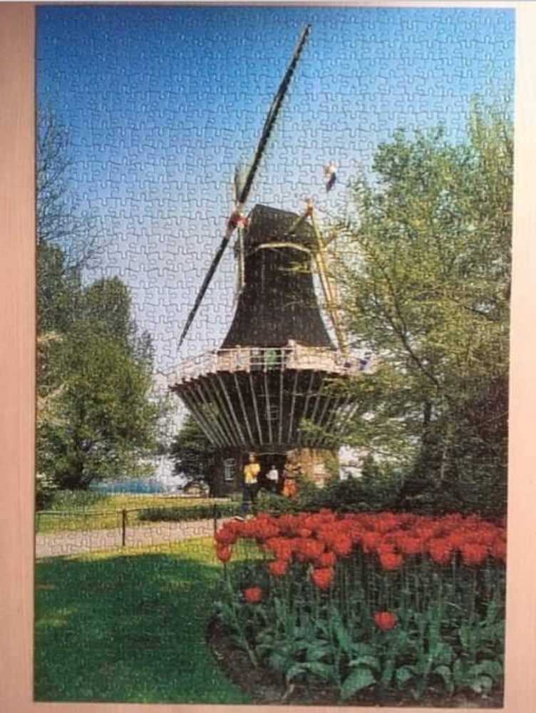 molen met tulpen. - King puzzle collectible - Main Image 2