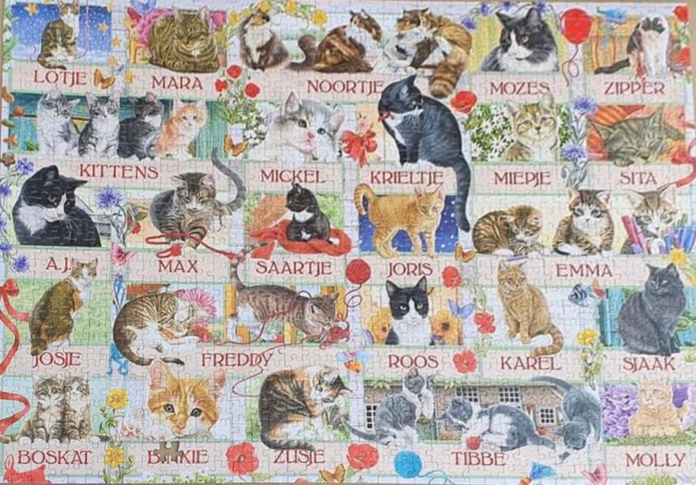 Francien Cat Friends  - Jumbo puzzle collectible [Barcode 8710126819722] - Main Image 3