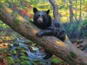 Manhattan Midtown Skyline At Twilight