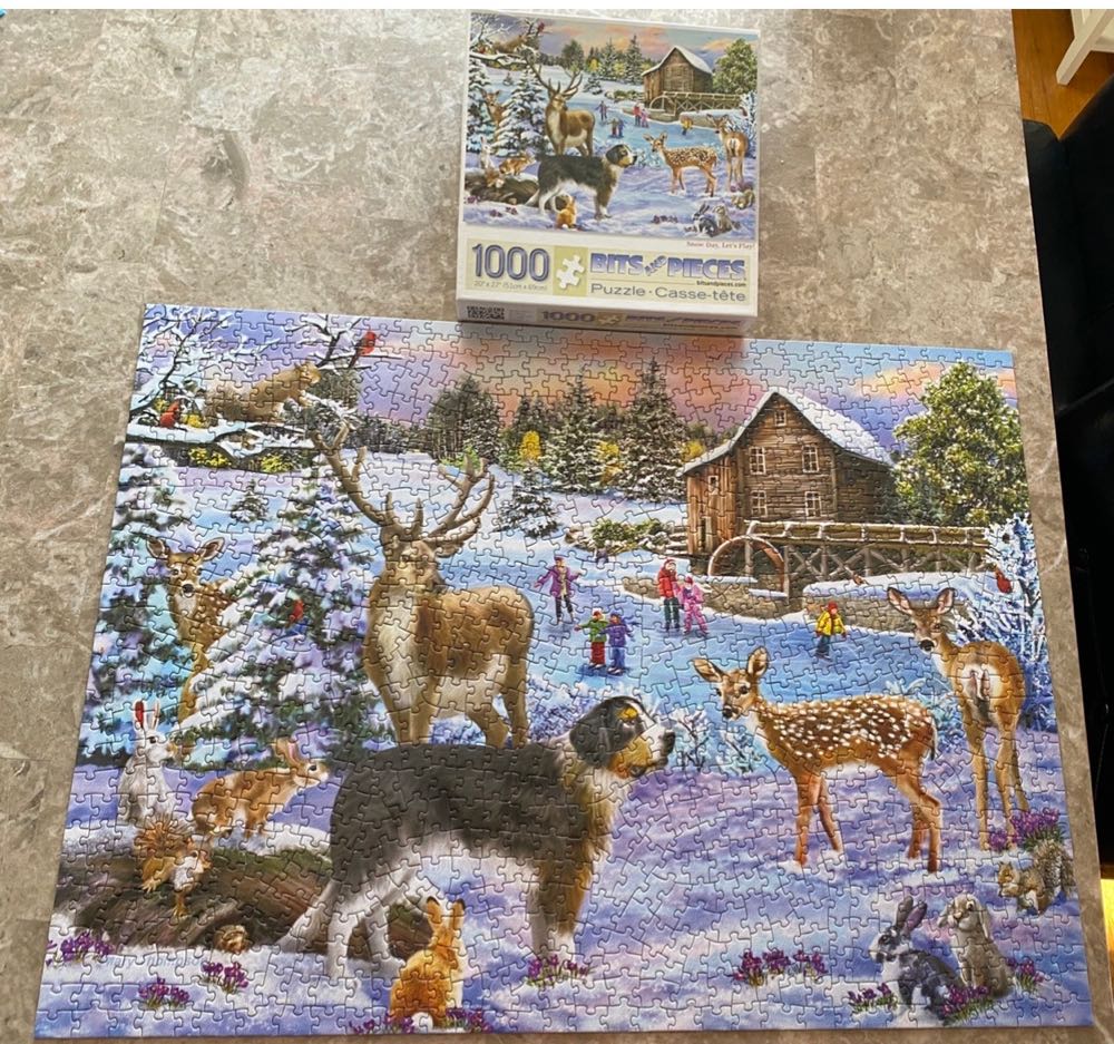 Let’s Play Snow Day - Bits & Pieces puzzle collectible [Barcode 192949036094] - Main Image 1