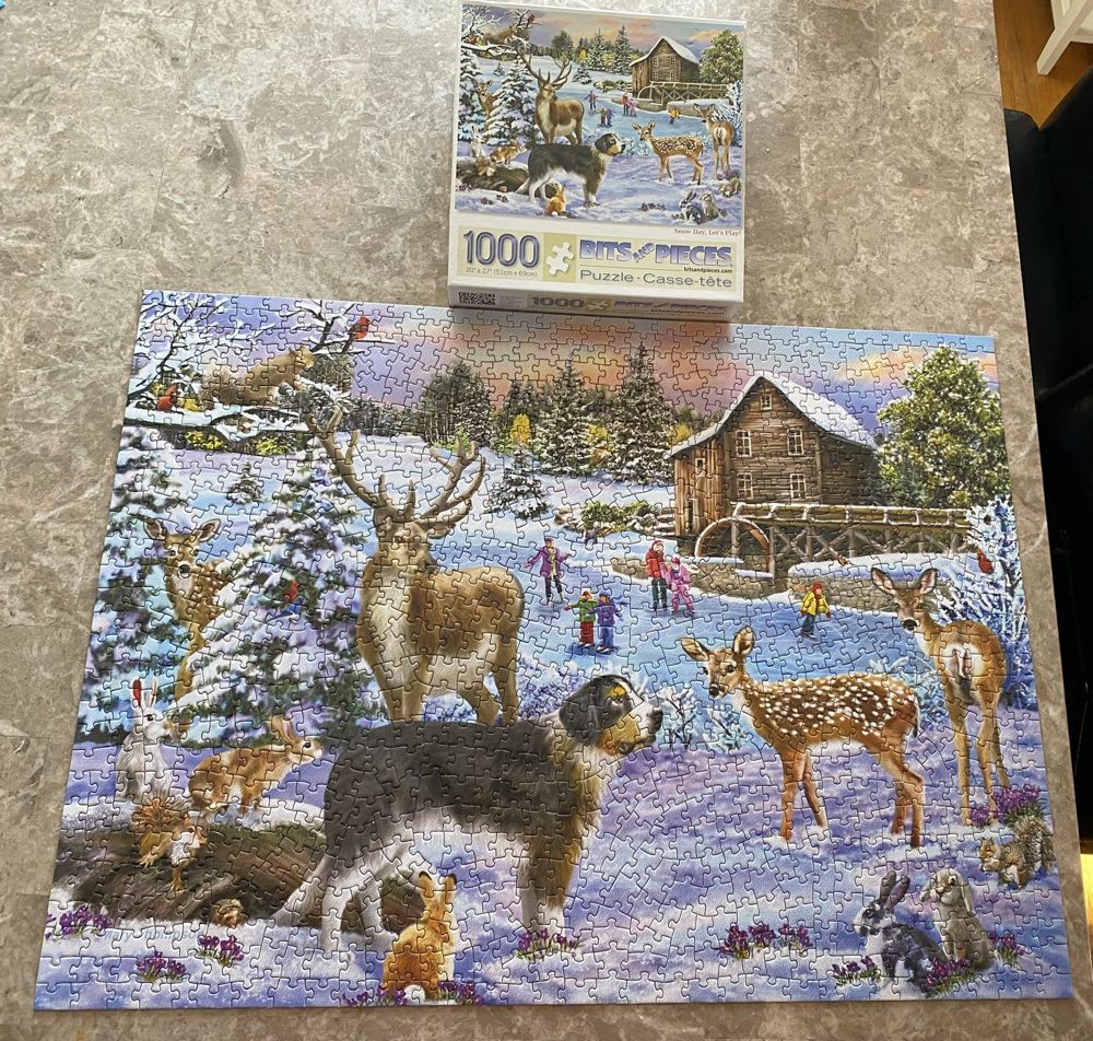 Let’s Play Snow Day - Bits & Pieces puzzle collectible [Barcode 192949036094] - Main Image 2