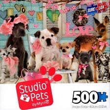 Rabbits In The Garden 