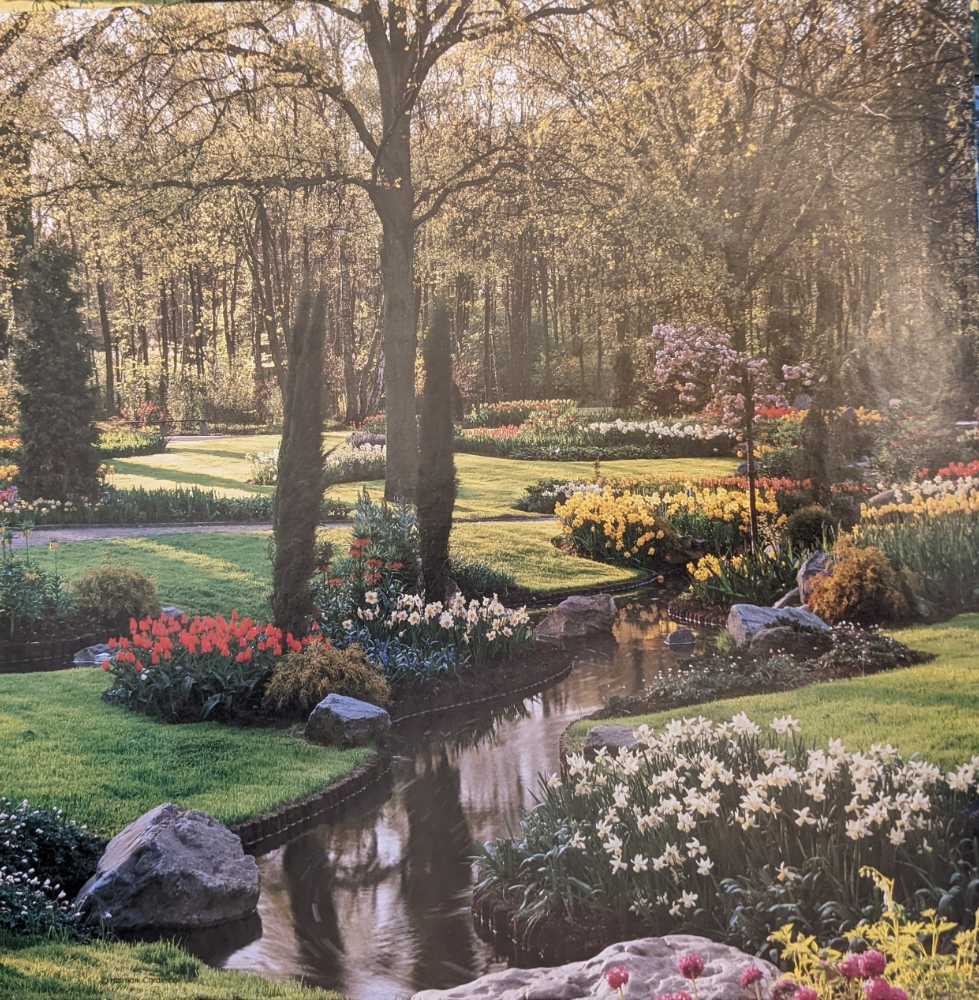 Selfies On The Beach