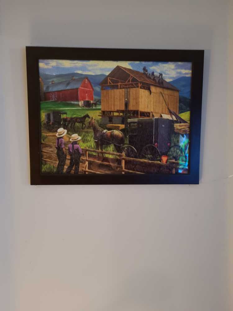 Kittens In The Drawer