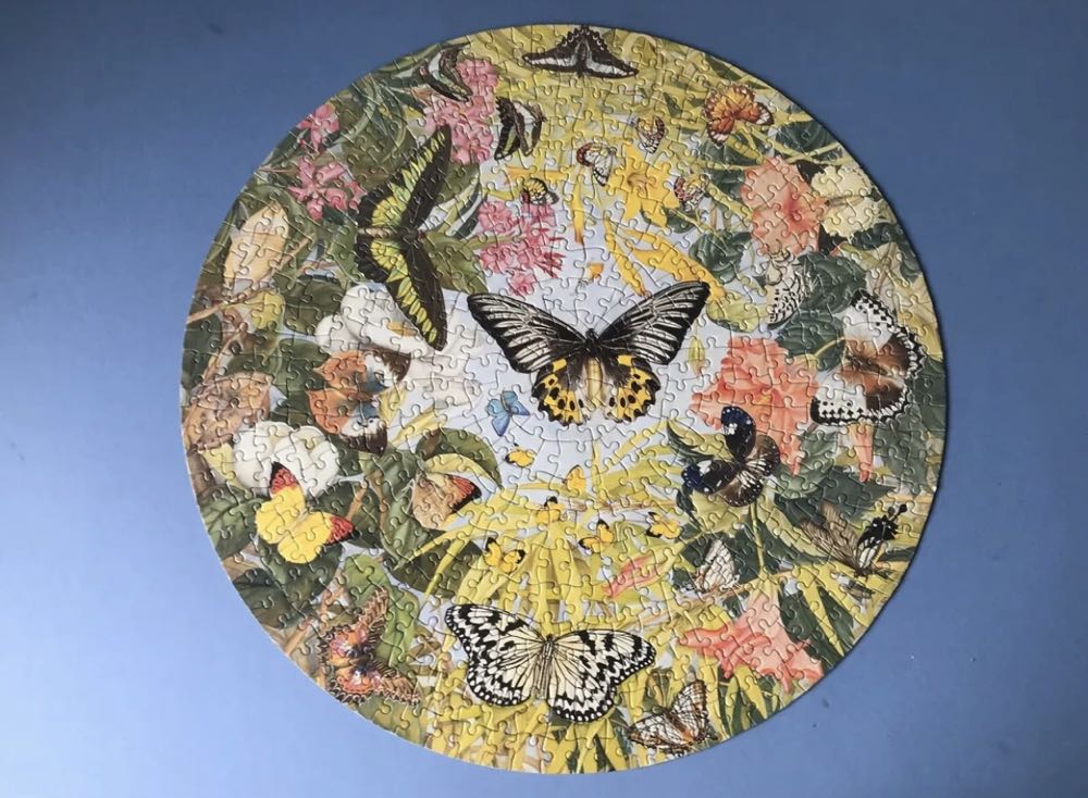 Butterflies Of Asia  - James Hamilton puzzle collectible [Barcode 5014519050086] - Main Image 2