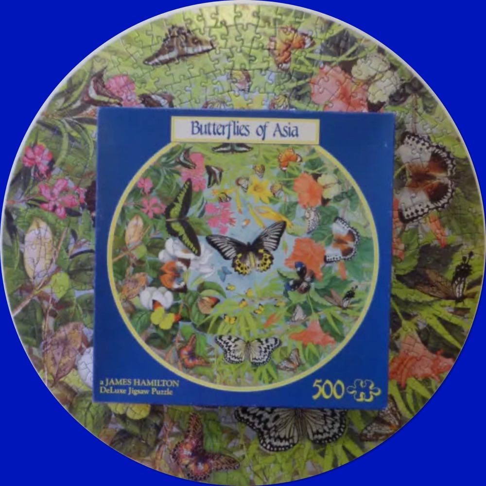 Butterflies Of Asia  - James Hamilton puzzle collectible [Barcode 5014519050086] - Main Image 4