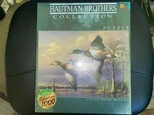 Kitties in the Kitchen