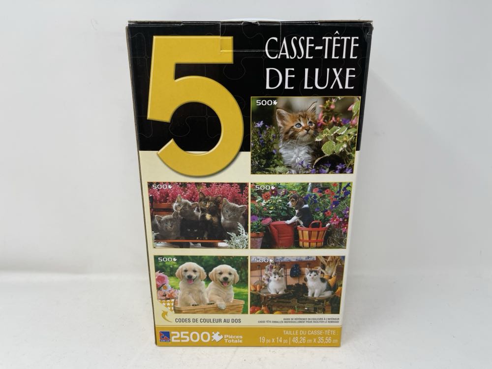 5 Deluxe Puzzles (yellow box) - Sure Lox puzzle collectible [Barcode 686141588050] - Main Image 2