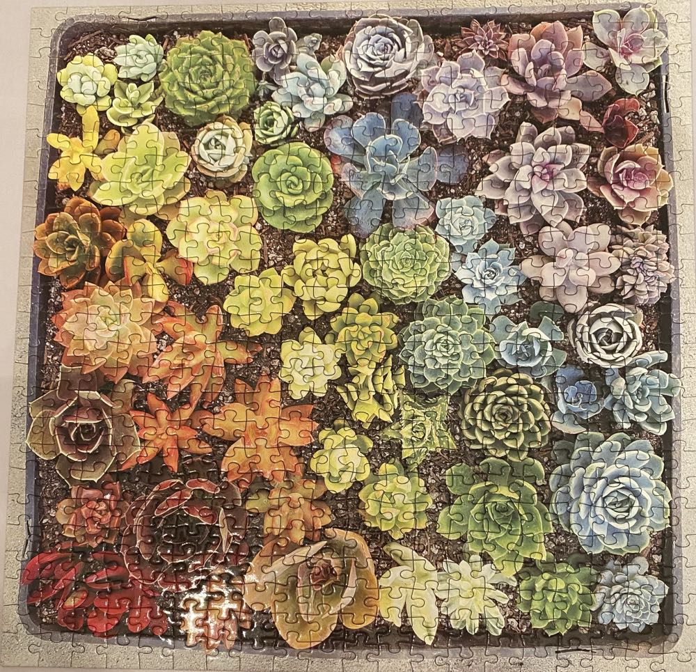 Succulents - Galison puzzle collectible [Barcode 9780735360426] - Main Image 3