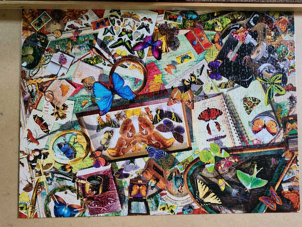 The Butterfly Collector - Buffalo 🇺🇸 puzzle collectible [Barcode 079346014439] - Main Image 2