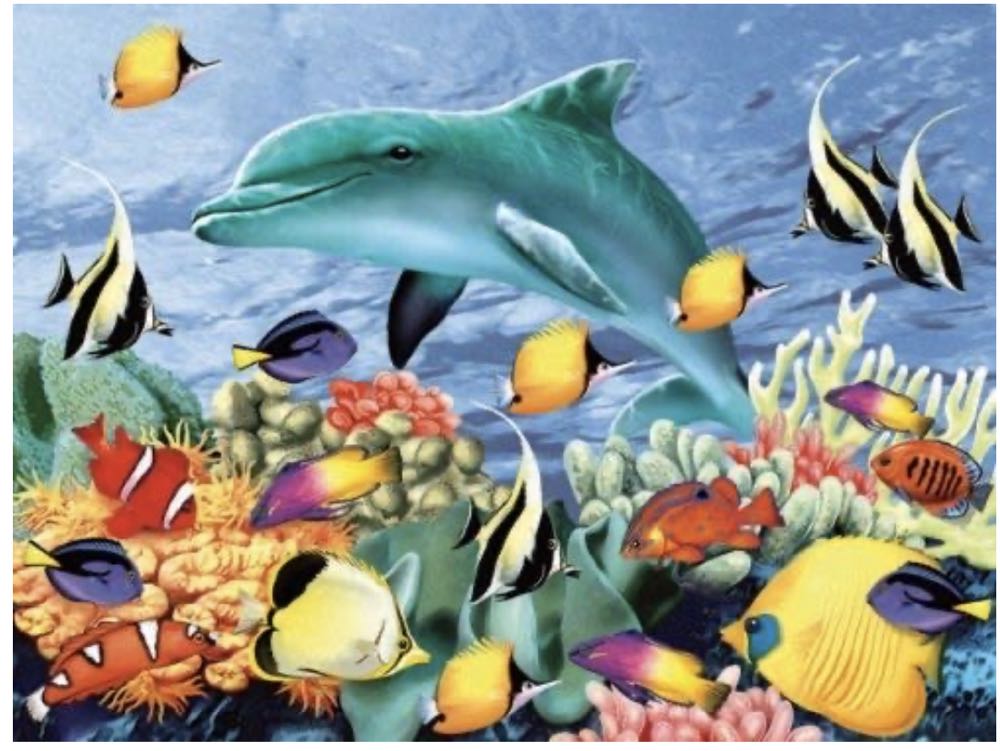 Something Fishy - White Mountain puzzle collectible [Barcode 724819249060] - Main Image 2