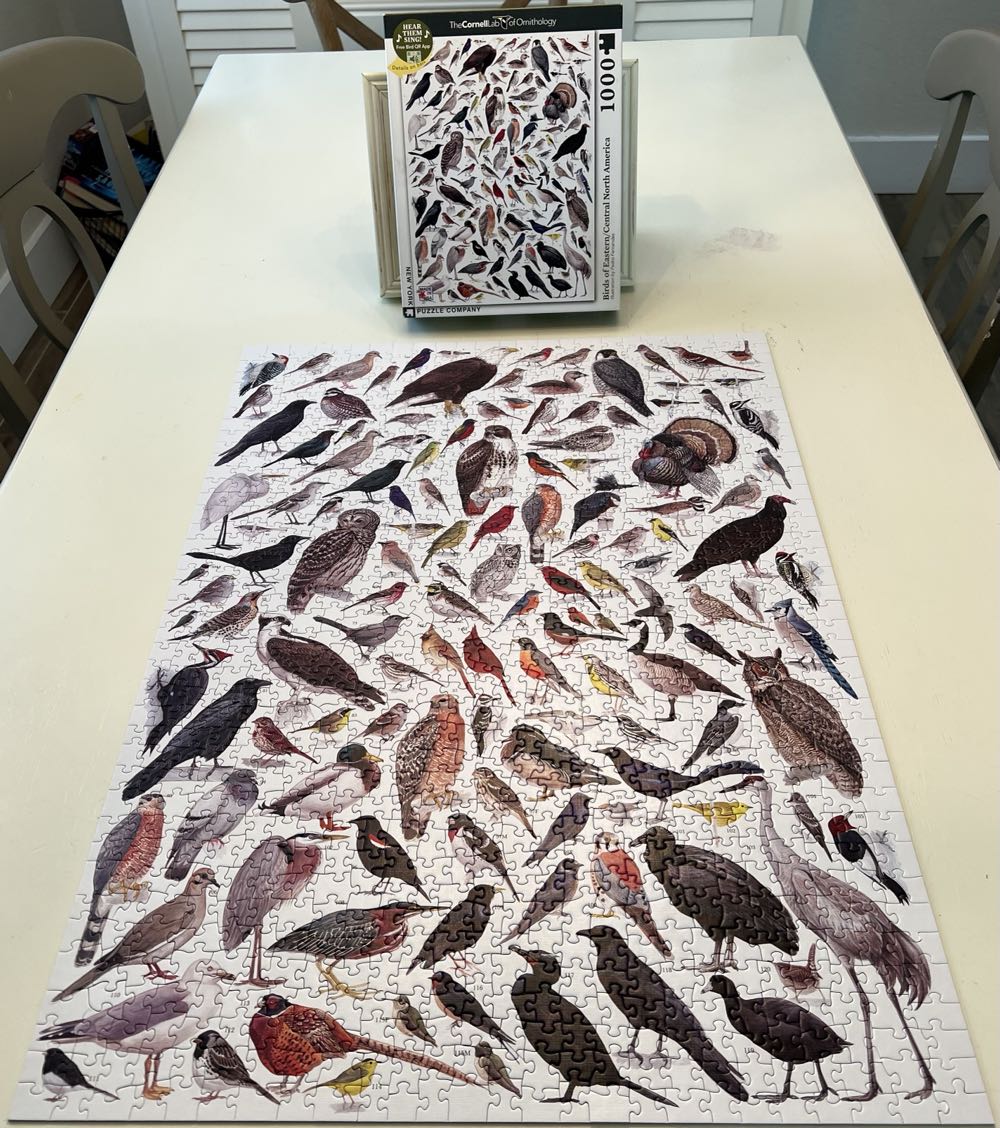 Birds Of America - New York Puzzle Company puzzle collectible [Barcode 819844014469] - Main Image 3