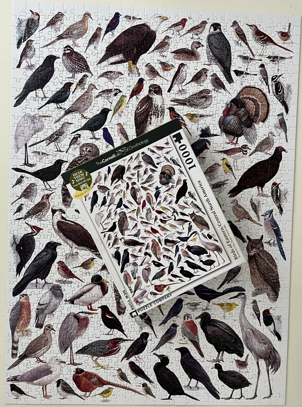 Birds Of America - New York Puzzle Company puzzle collectible [Barcode 819844014469] - Main Image 4