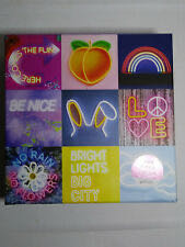 Bill Coleman’s The Amish Gone A Courtin’ 500 Pc Puzzle 21” X 15”