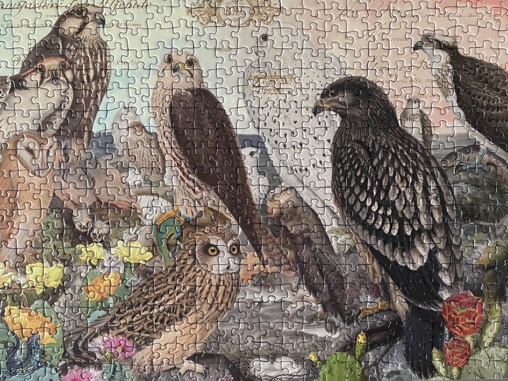 Birds Of Prey - Ravensburger puzzle collectible [Barcode 4005556823192] - Main Image 2