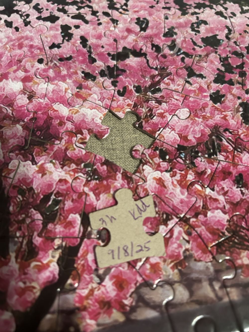 Our Favorite Spot Teresa Lilly  - Bits & Pieces puzzle collectible [Barcode 192949048424] - Main Image 3