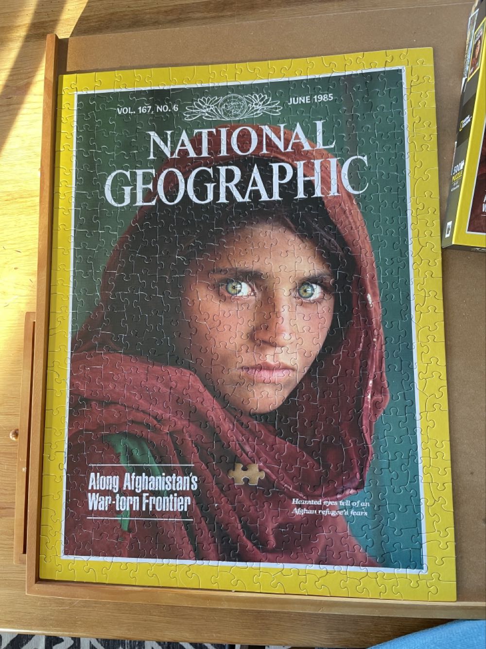 Haunted Eyes - New York Puzzle Company puzzle collectible [Barcode 819844019754] - Main Image 2