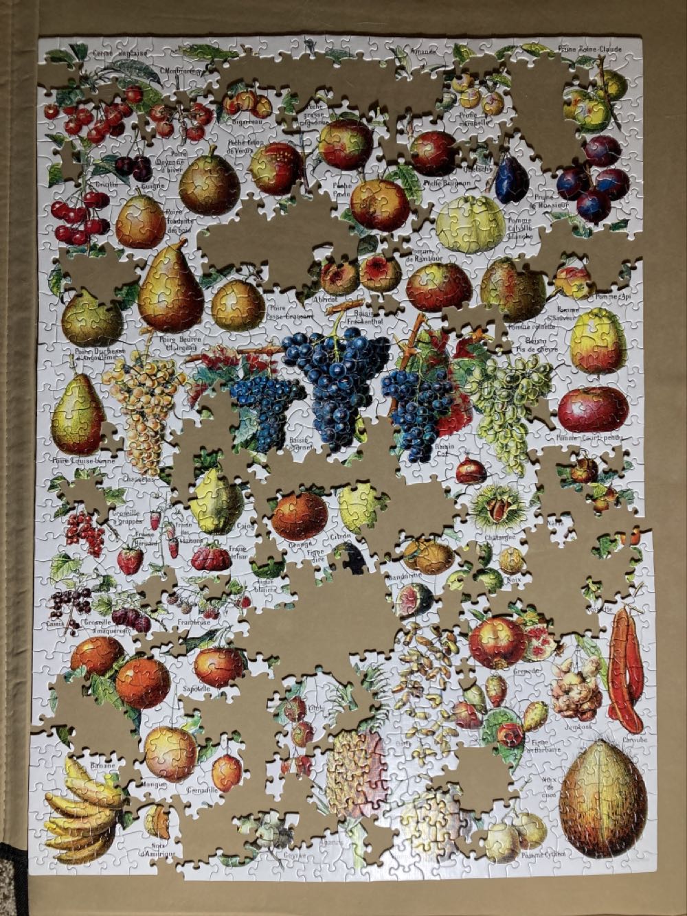 Fruits - New York Puzzle Company 🇺🇸 puzzle collectible - Main Image 3