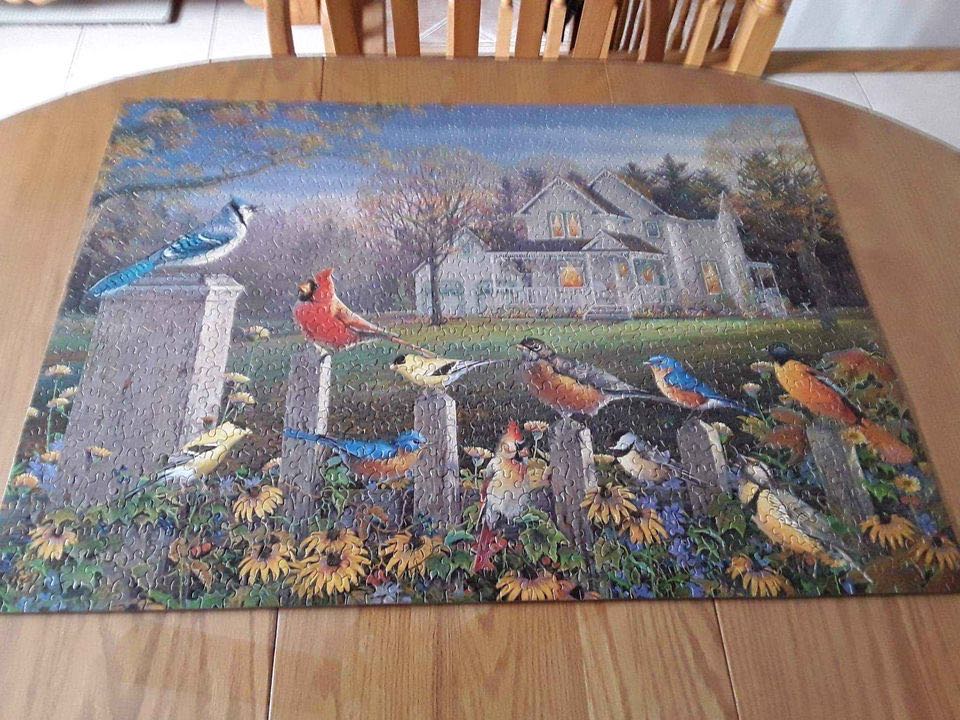 Fenceline Chatter - Karmin International puzzle collectible [Barcode 773392085503] - Main Image 2