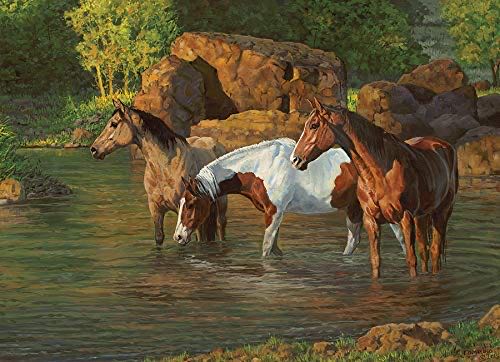 Horse Pond - Cobble Hill puzzle collectible [Barcode 625012850513] - Main Image 1