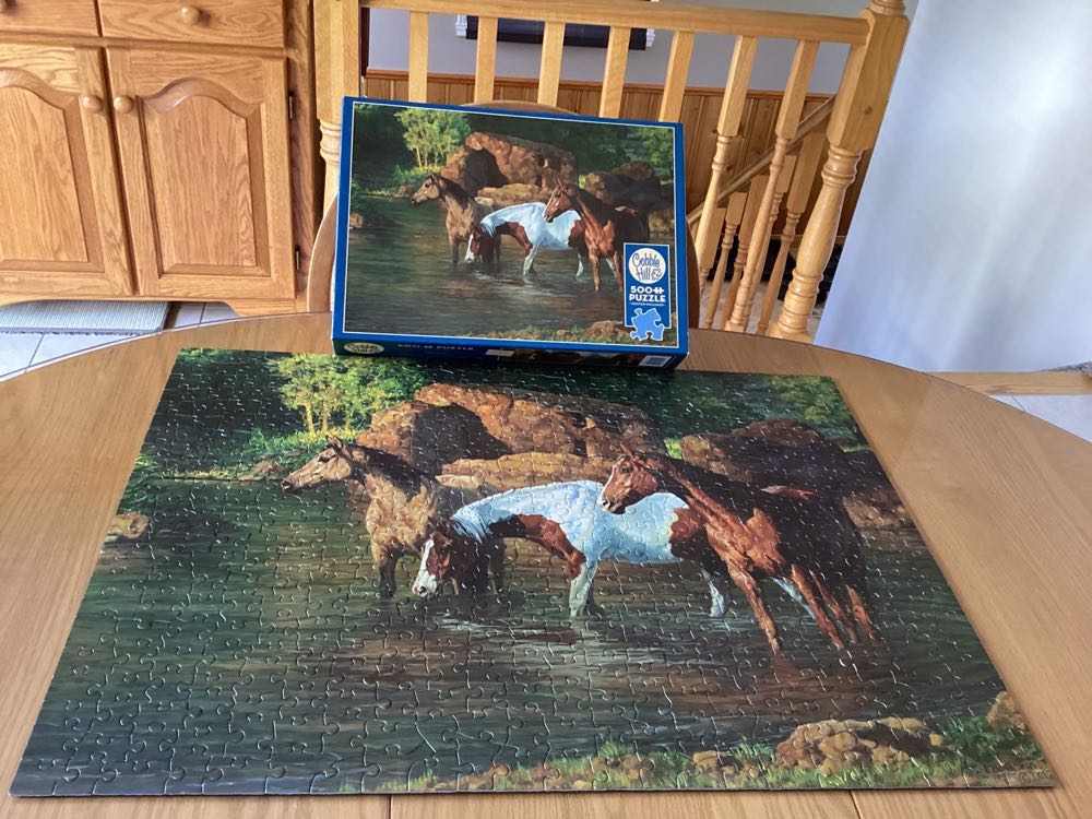 Horse Pond - Cobble Hill puzzle collectible [Barcode 625012850513] - Main Image 2