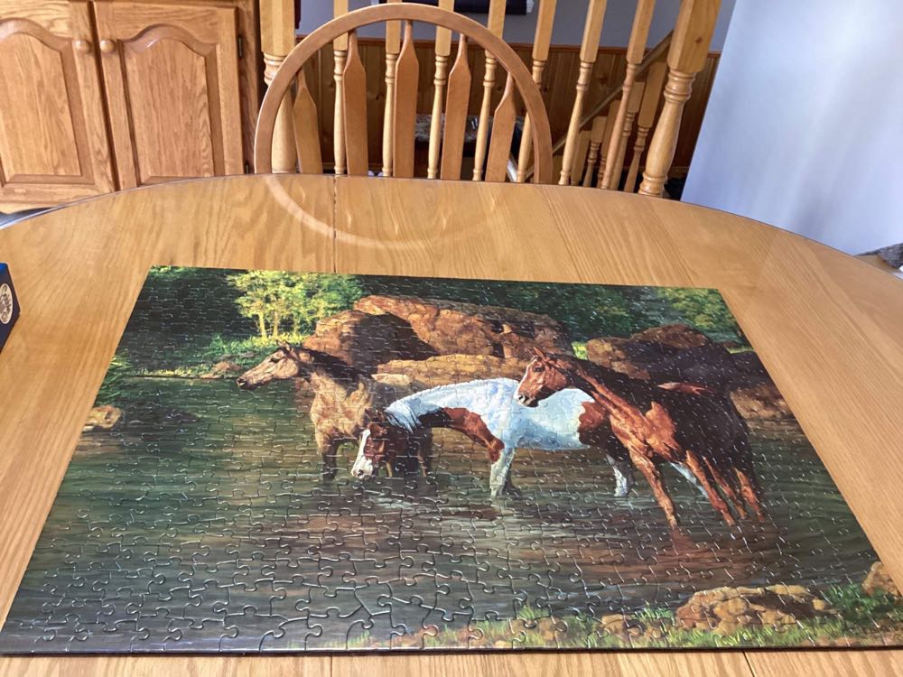 Horse Pond - Cobble Hill puzzle collectible [Barcode 625012850513] - Main Image 3