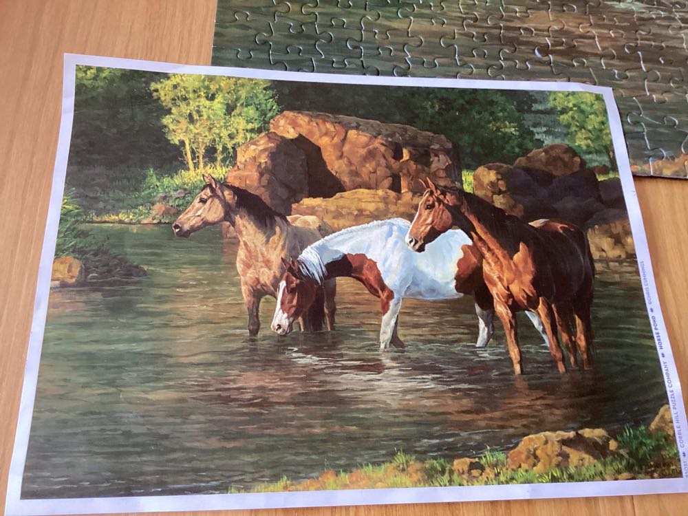 Horse Pond - Cobble Hill puzzle collectible [Barcode 625012850513] - Main Image 4