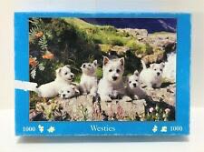 10 Puzzle Box Set: Made In America