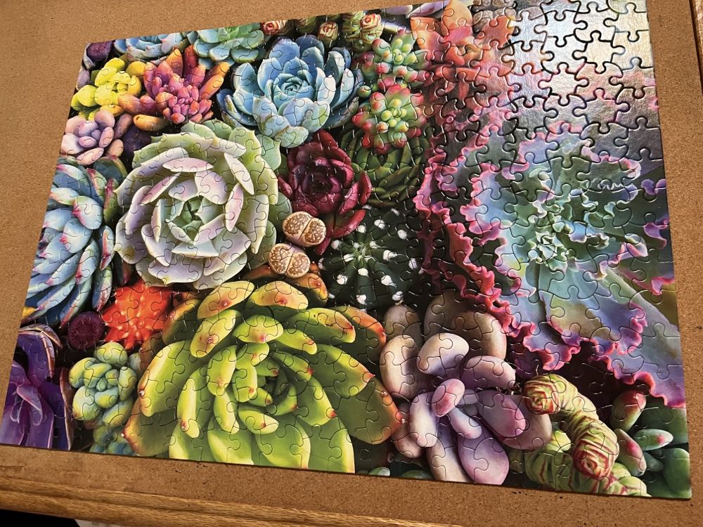 Succulent Synergy - Ceaco puzzle collectible [Barcode 021081222051] - Main Image 2