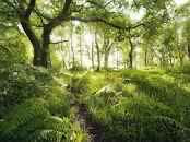 Andover New Hampshire