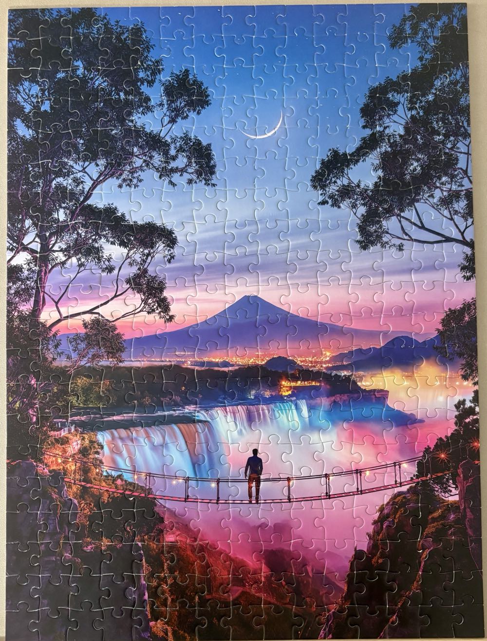 Everything Is Extraordinary- GONE - Blanc puzzle collectible [Barcode 079346530502] - Main Image 2