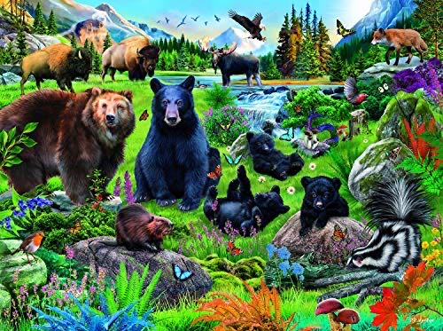 Mystery Of The Missing Migrants