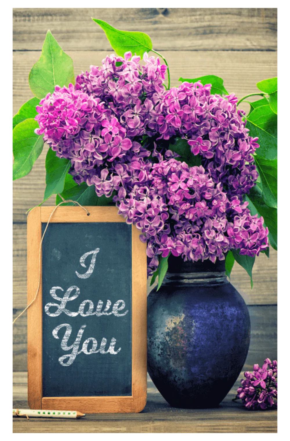 Water: Canoe Lake  500 Pieces