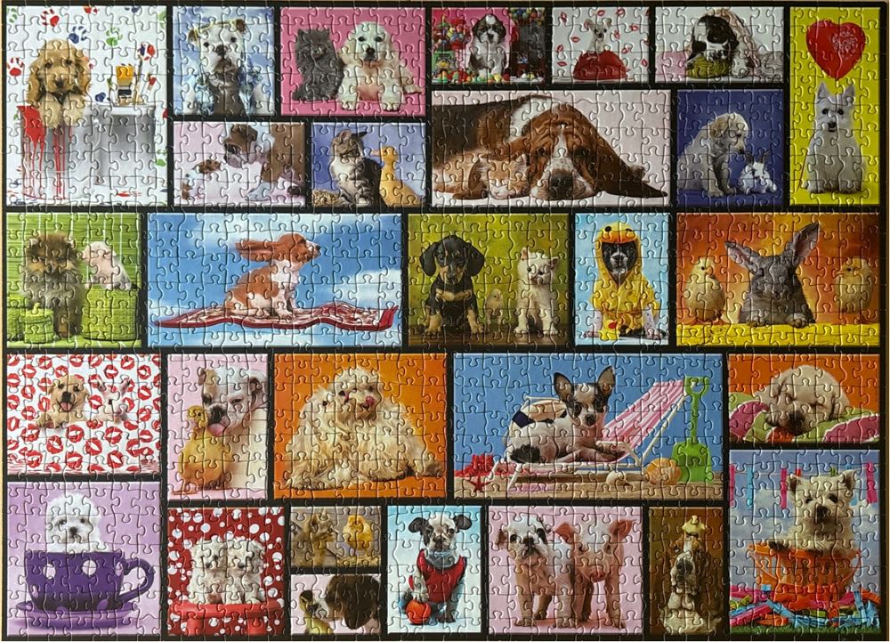 Shared Moments - Educa puzzle collectible [Barcode 8412668155183] - Main Image 2