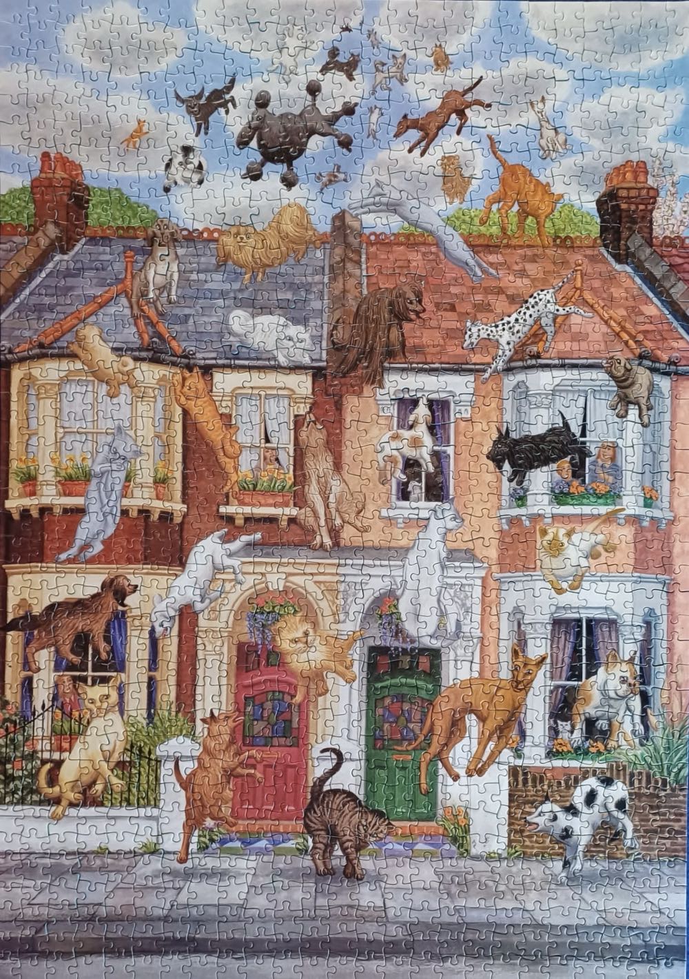 Raining Cats And Dogs - Crown & Andrews 🇦🇺 puzzle collectible [Barcode 9310281012519] - Main Image 3