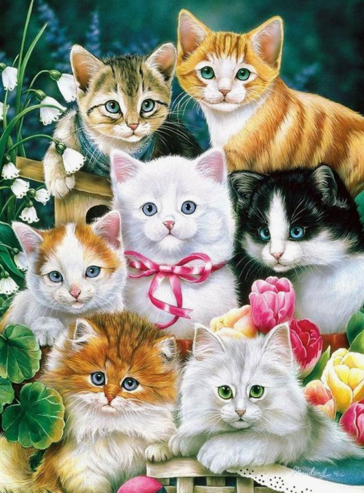 Kitten Pals (Agnes €4,50) - FX Schmid puzzle collectible [Barcode 099252785797] - Main Image 2