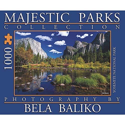 Whiskers at the Window