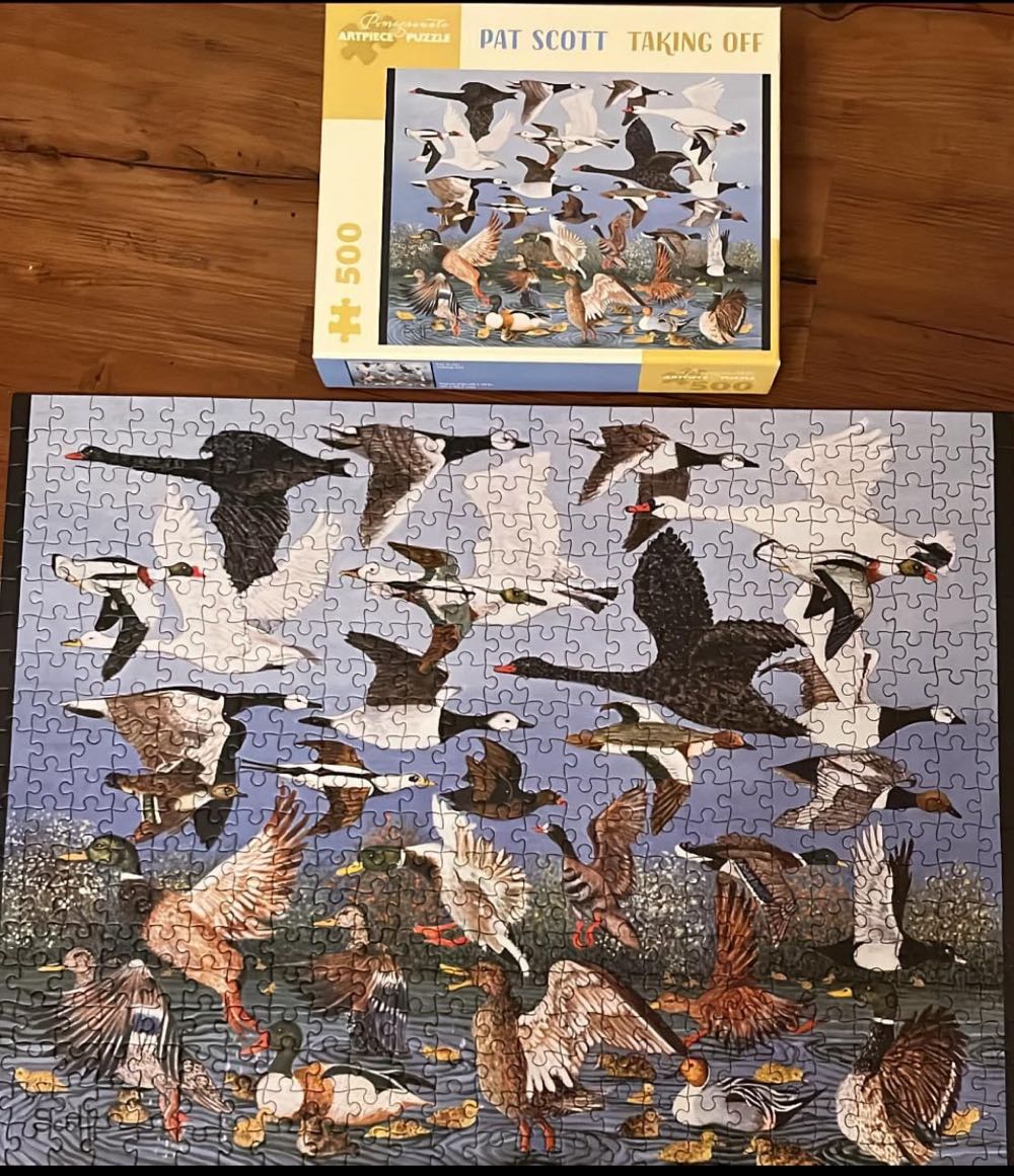 Taking Off - Pomegranate puzzle collectible [Barcode 9780764981647] - Main Image 2