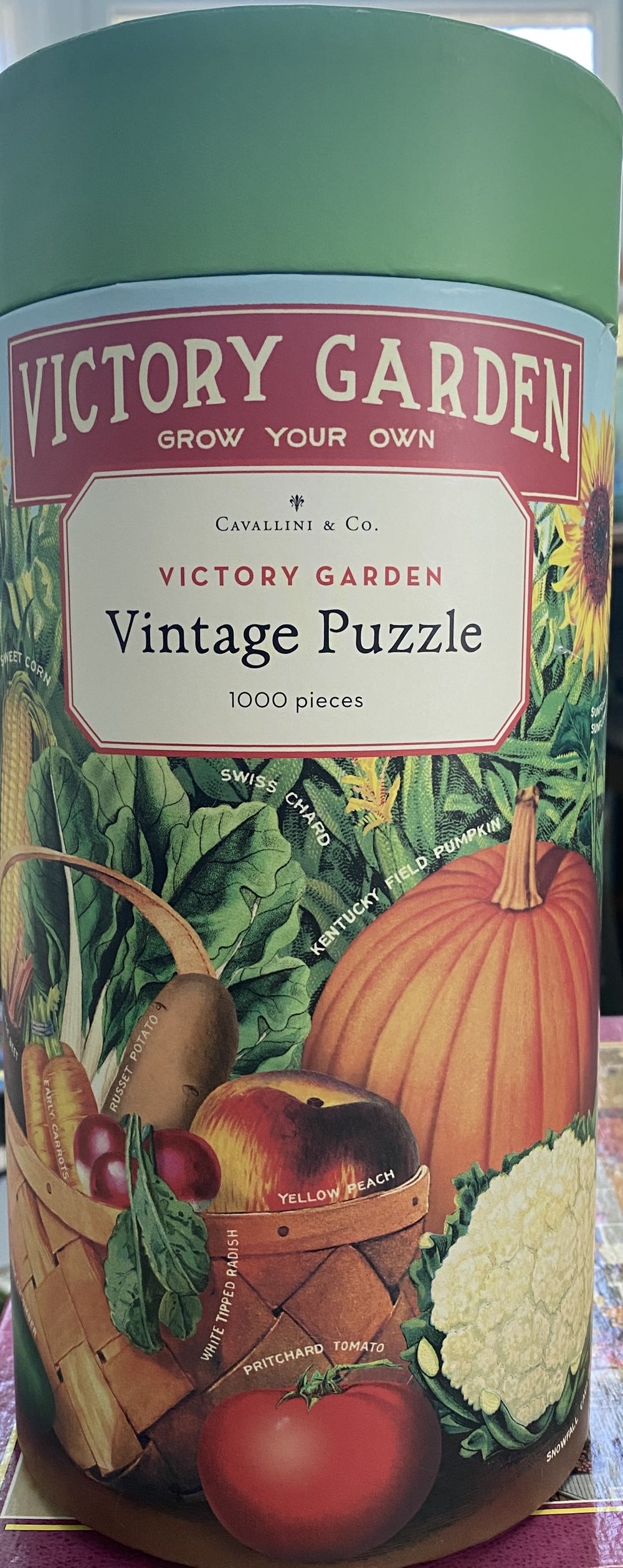 Old Faithful (UV) 🧩