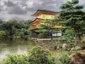 National Geographic Shark