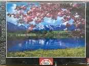 Disney Constellation