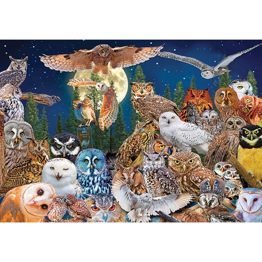 Bigfoot 1000pc Jigsaw Puzzle