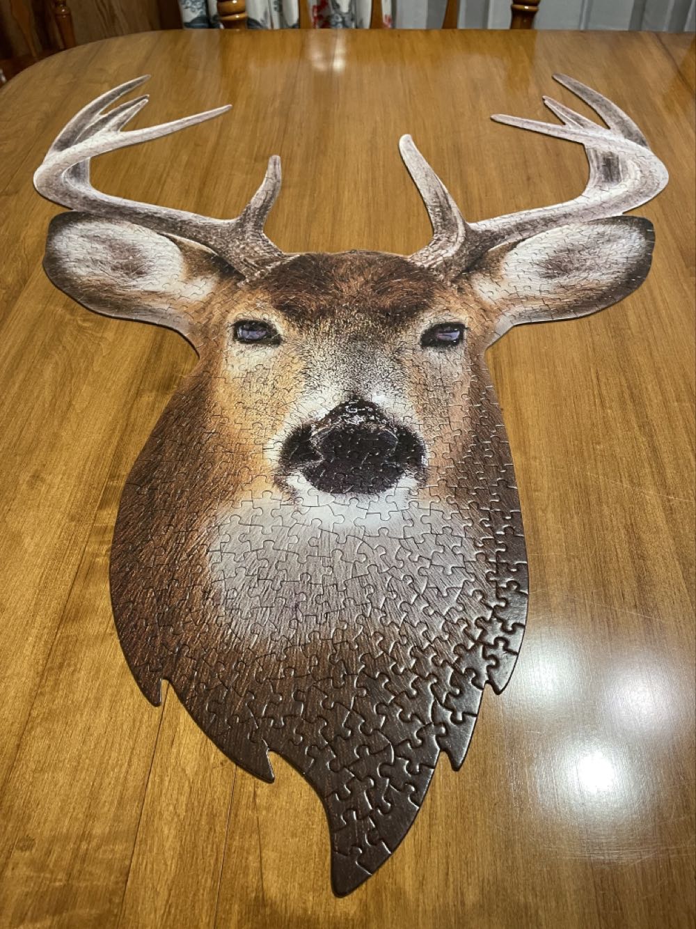 I Am Buck - Madd Capp puzzle collectible [Barcode 040232452130] - Main Image 2