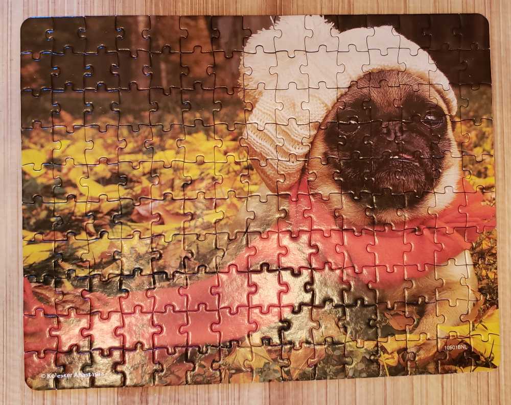 Flower Garden Autumn  - Cardinal puzzle collectible [Barcode 778988409275] - Main Image 4