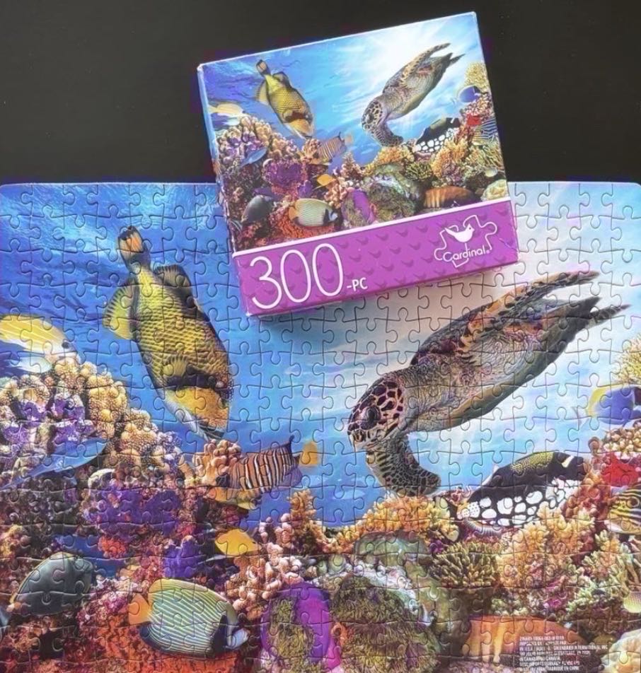 Colorful Coral Reef 🔴 - Sure Lox puzzle collectible [Barcode 639277792303] - Main Image 4