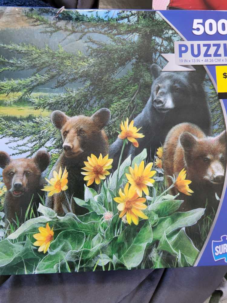 Whiskers at the Window