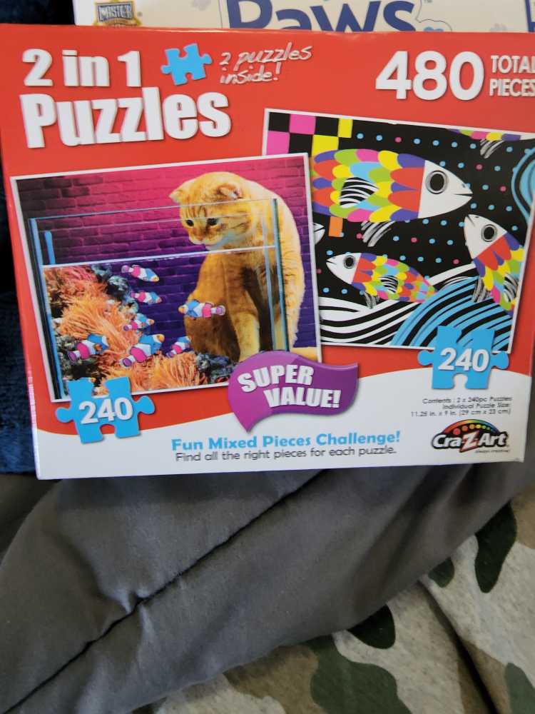 Kitty Cat Playground