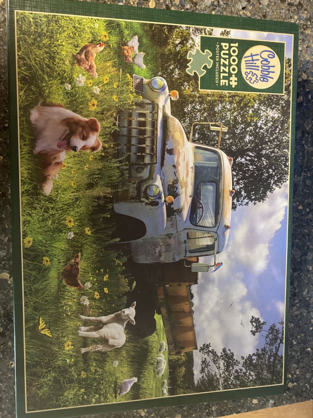 Colorful Coral Reef 🔴