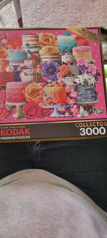 Bill Coleman’s The Amish Gone A Courtin’ 500 Pc Puzzle 21” X 15”